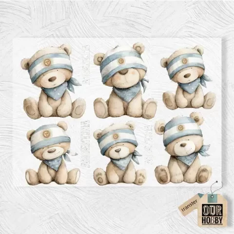 Producto - Lámina DTF TEXTIL Colección Orgullo Argentino OH - 339