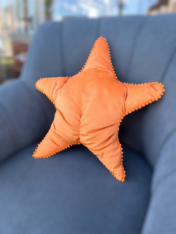 Producto - Almohadón estrella viral