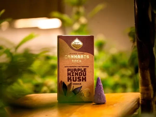 Miniatura de producto - 7