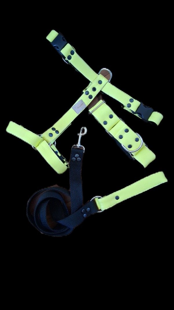 Producto - Arnés pistacho