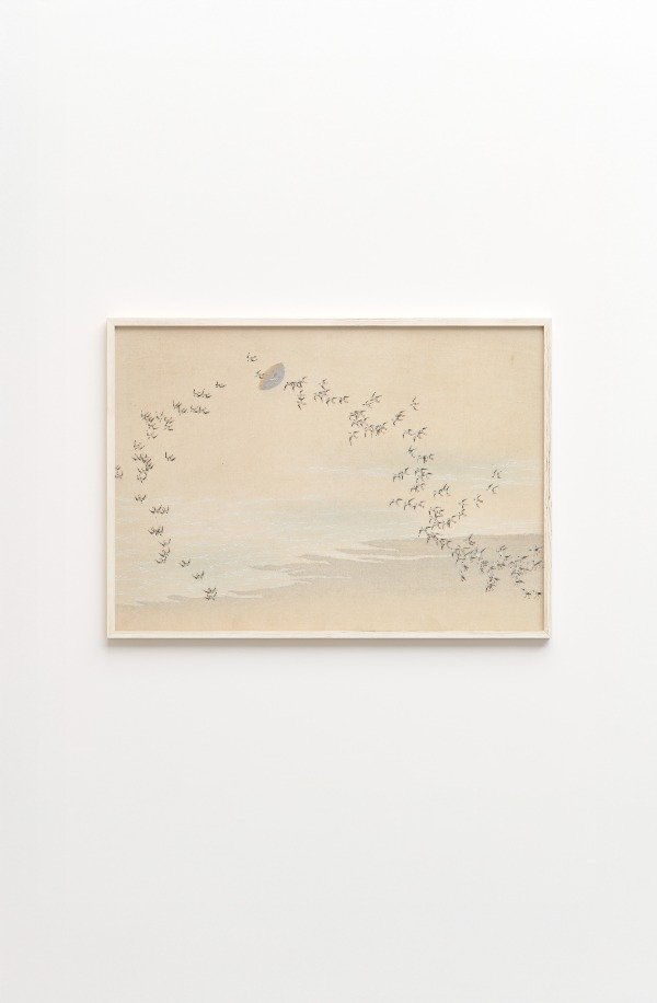 Producto - A Thousand Grasses