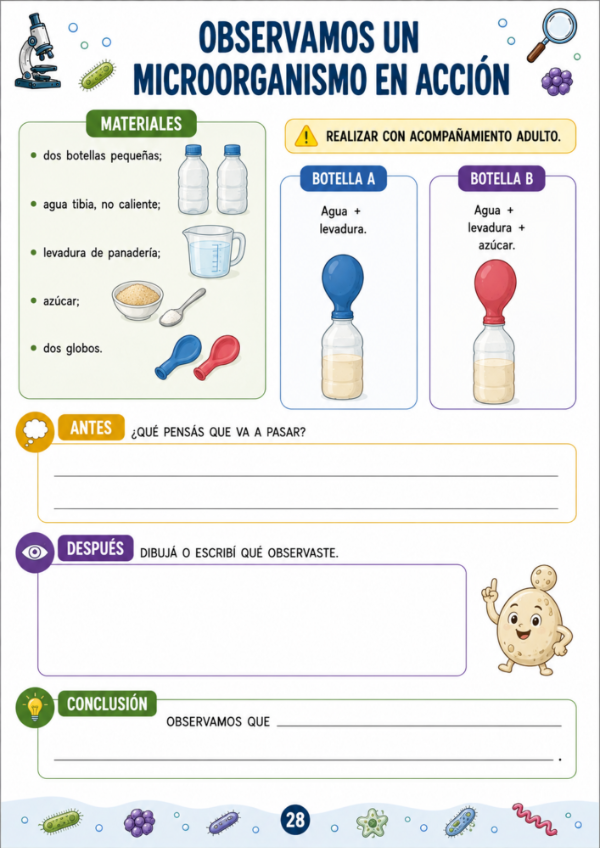 Producto - Vida de los Microorganismos - 16