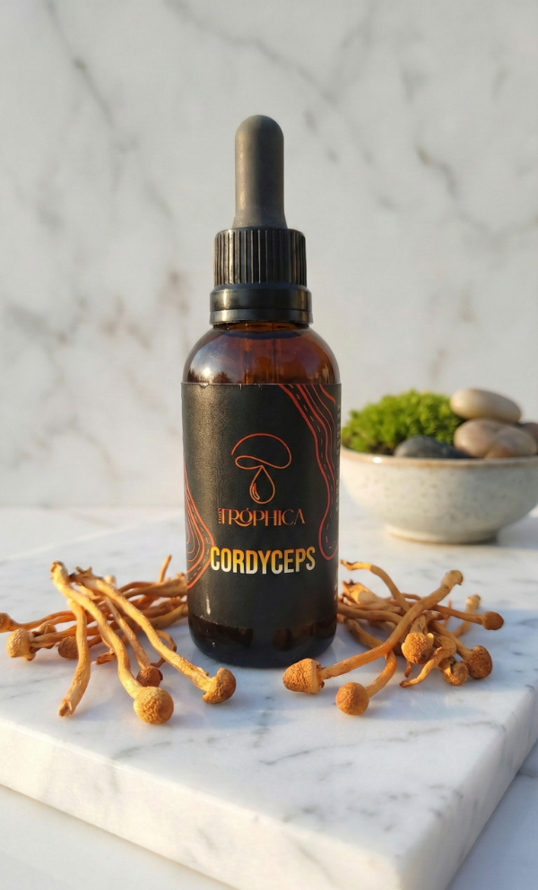 Producto - Cordyceps: Energía Natural y Rendimiento Físico Superior