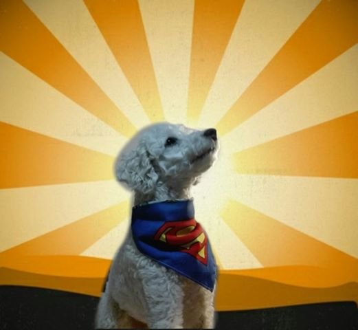Imagen de producto - 4