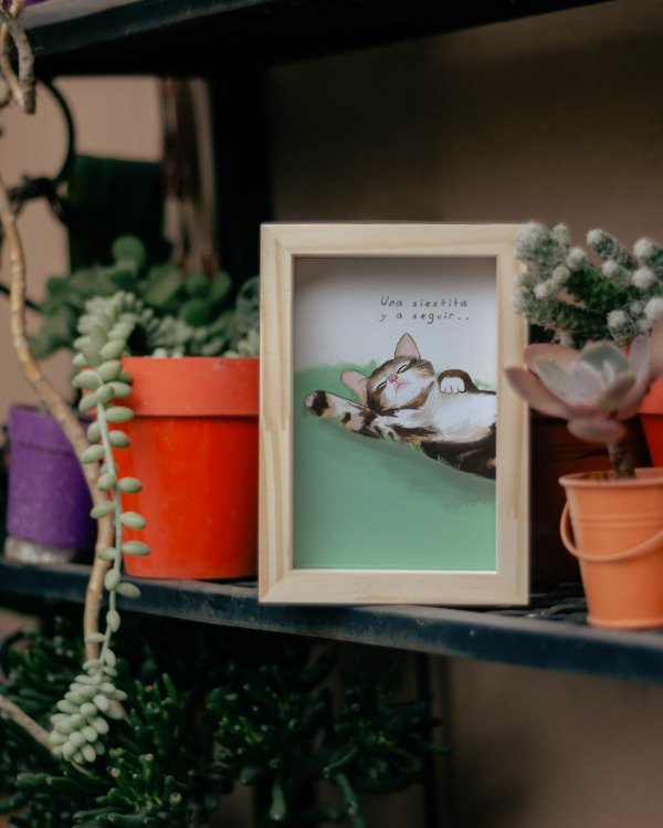 Producto - Una siestita y a seguir