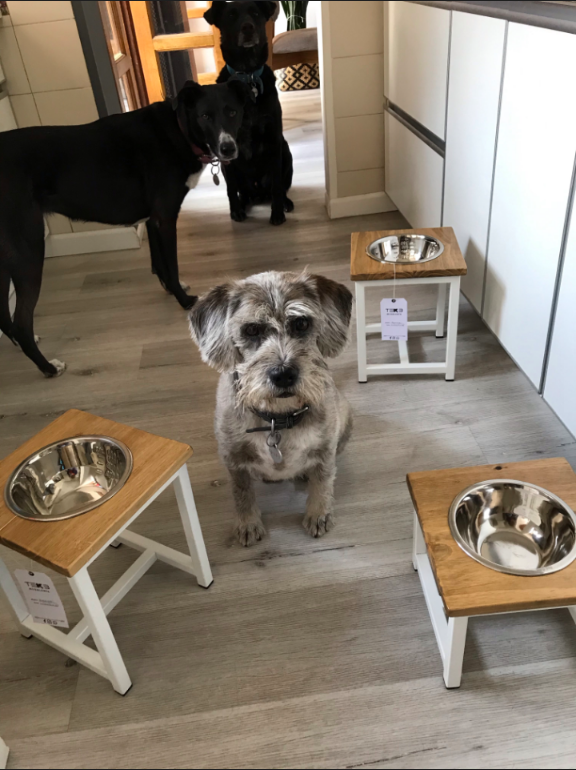 Producto - Comedero Individual Talle M