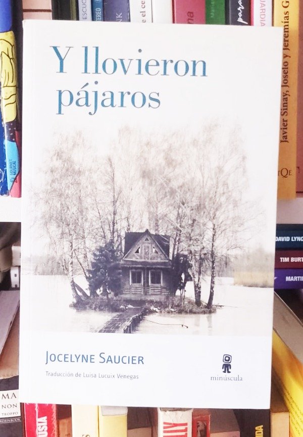 Producto - Y llovieron pájaros - Jocelyne Saucier