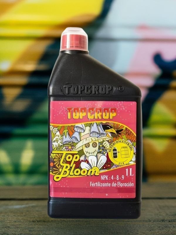 Producto - Top Bloom