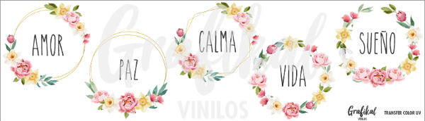 Producto - TransferColorUV M031