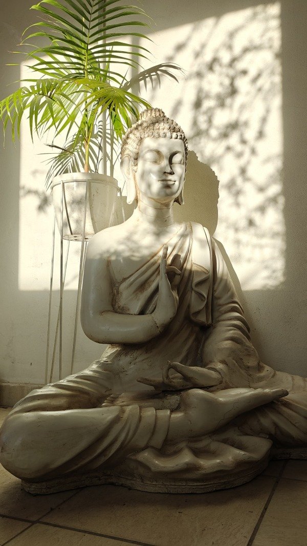 Producto - Buda Súper Gigante Nro 3