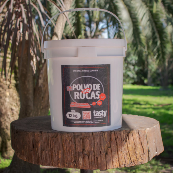 Producto - TASTY POLVO DE ROCAS 12K