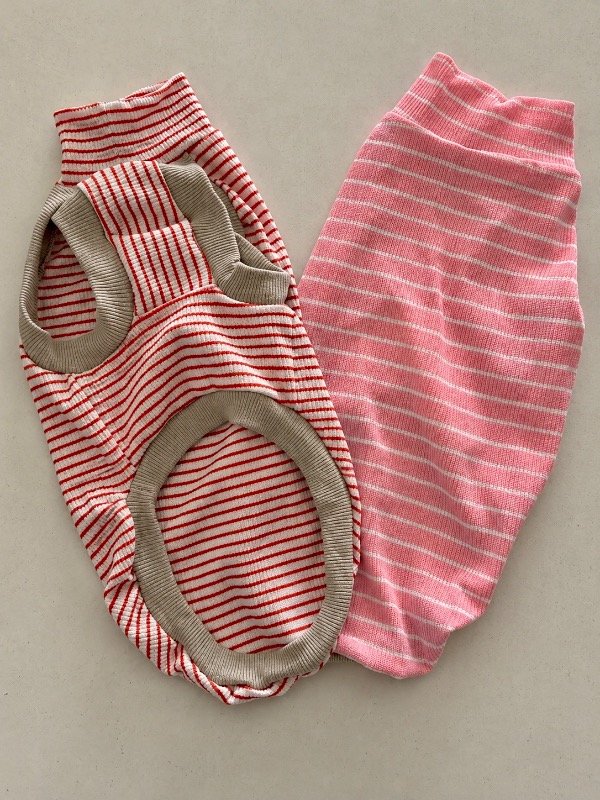 Producto - Poleras Cannes - 2