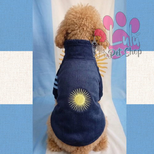 Producto - BUZO ARGENTINA CORDEROY