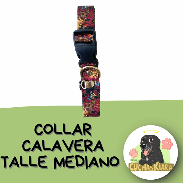 Producto - Collar Talle 3