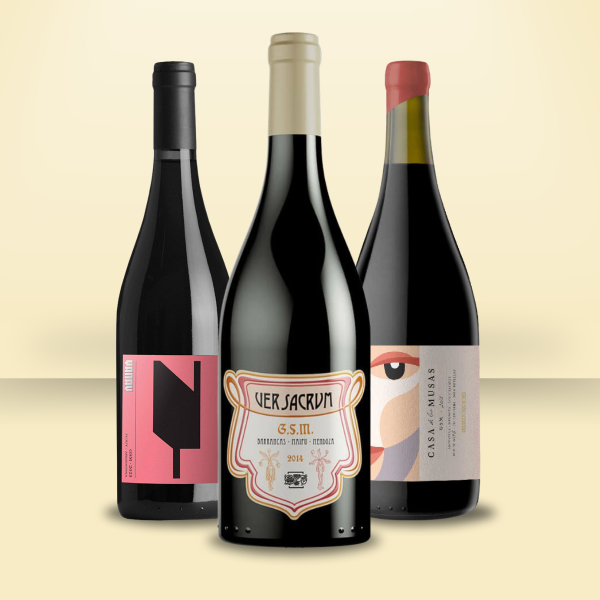 Producto - ESPECIAL GSM