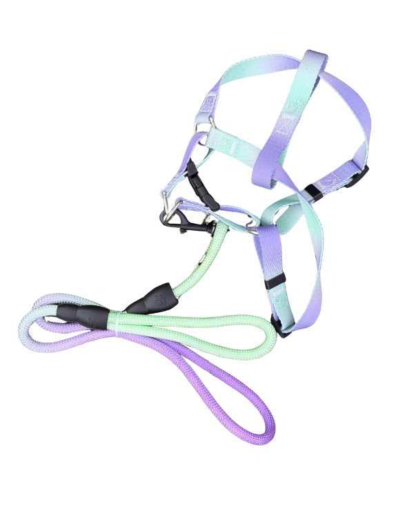 Producto - Pretal pastel con correa