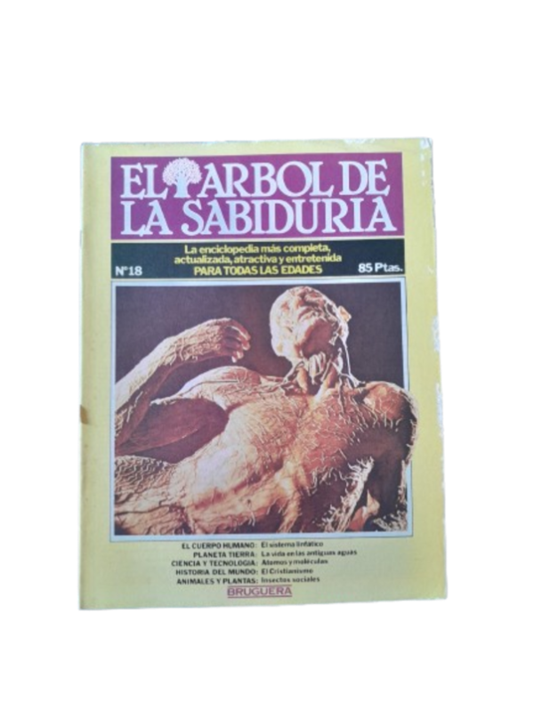 Producto - Falado!!! El Arbol De La Sabiduria Fasciculo Numero 18 1980 (usado)