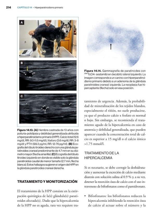 Producto - Teyssandier - Soler Arias: Manual Práctico de Endocrinología Clínica en el Perro - 9