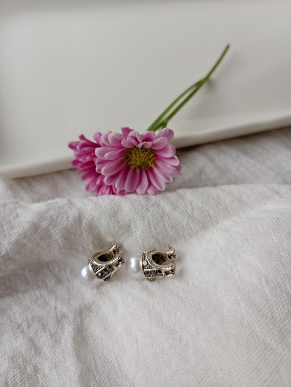 Producto - Aros LADY