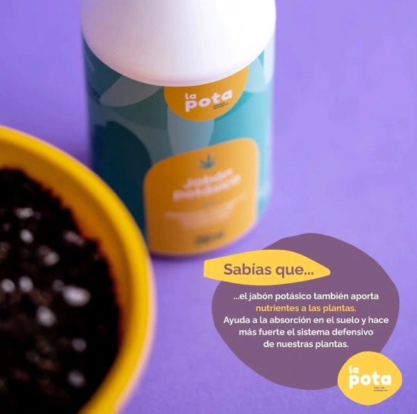 Producto - Jabón Potásico La Pota x 250 ml. - 3
