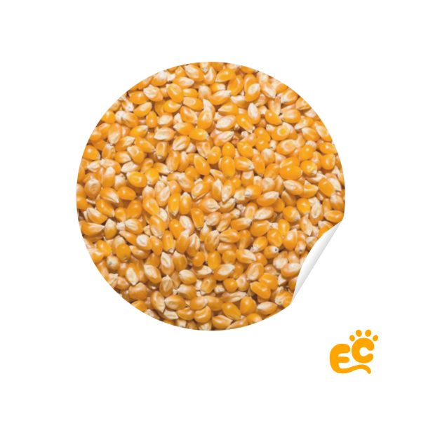 Producto - Maíz Entero