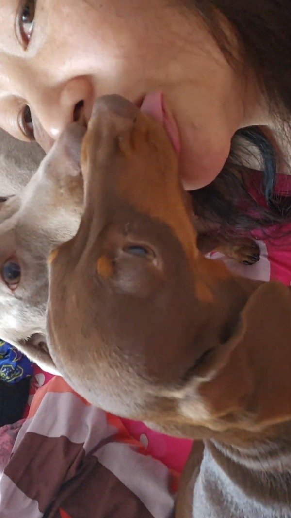 Producto - 25-004 Blue and Silver Kiss (3.31 min)