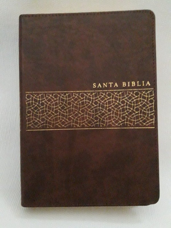 Producto - Biblia NTV  Nueva Traduccion Viviente Letras Gigantes