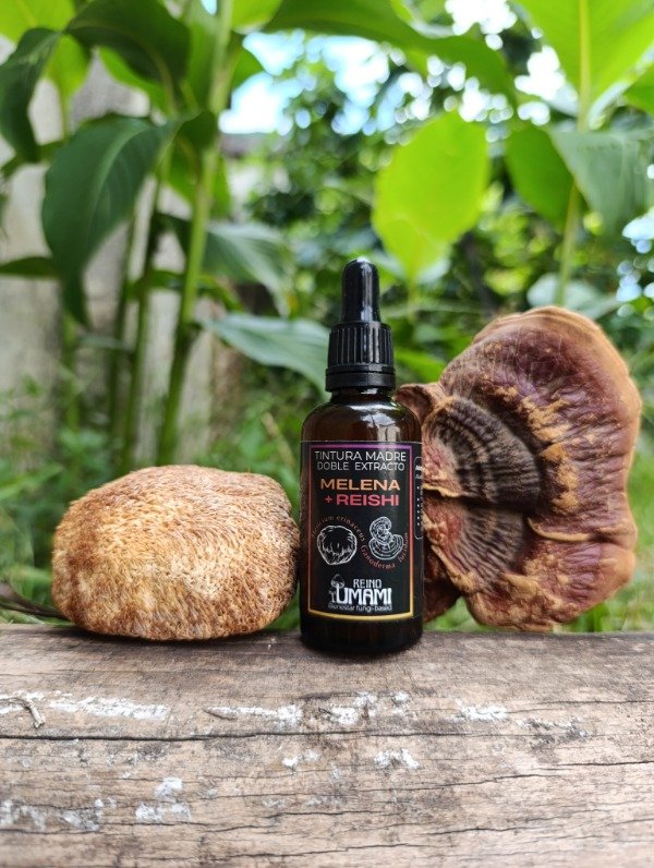 Producto - REISHI + MELENA - doble extracto 50 ml