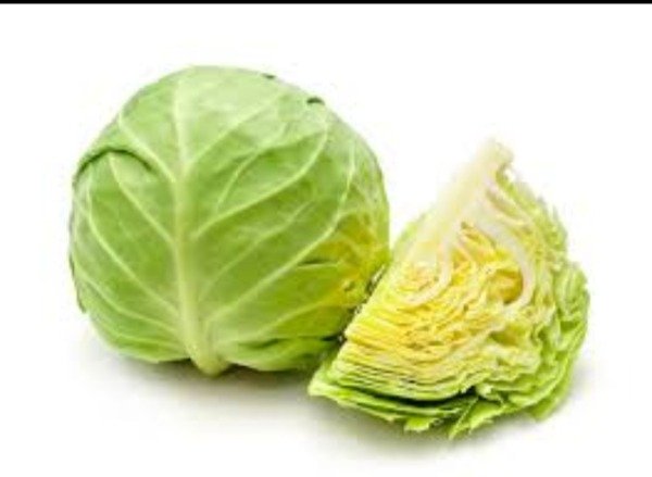 Producto - Repollo blanco Agroecologico