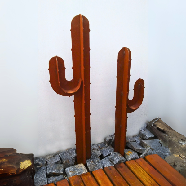 Producto - Cactus "Duo" (par)