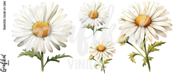 Producto - TransferColorUV C080