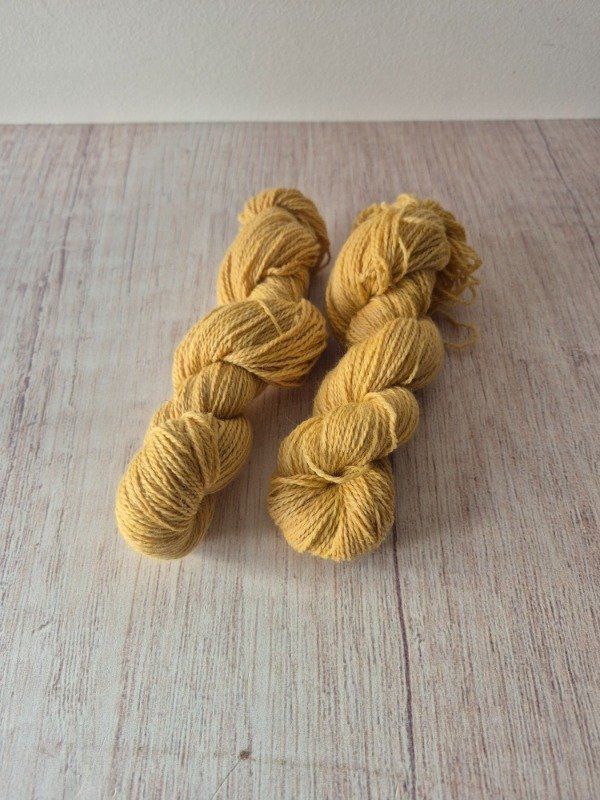 Producto - Diente de león 50 grs - 0