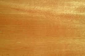 Producto - Grapia