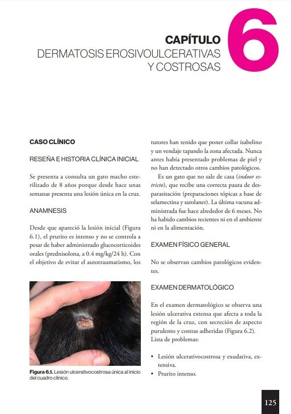 Producto - Carrasco: Dermatología Felina Basada en Patrones Dermatológicos - 2