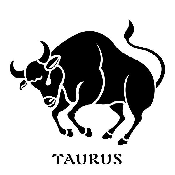 Producto - Tauro 1