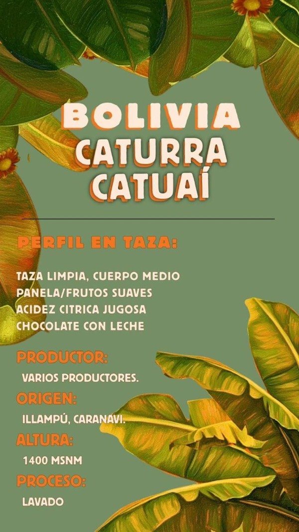 Producto - BOLIVIA SIBARISTA