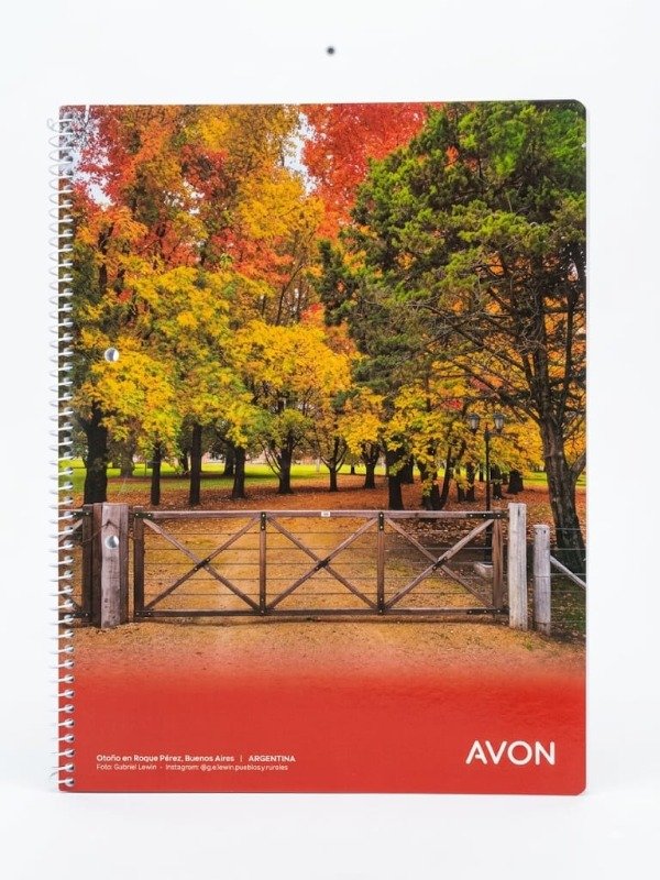 Producto - Cuaderno A4 RAYADO o CUADRICULADO Avon Espiral. Tapa Flexible 84 hojas