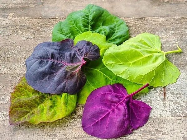 Producto - ARMUELLE MIX