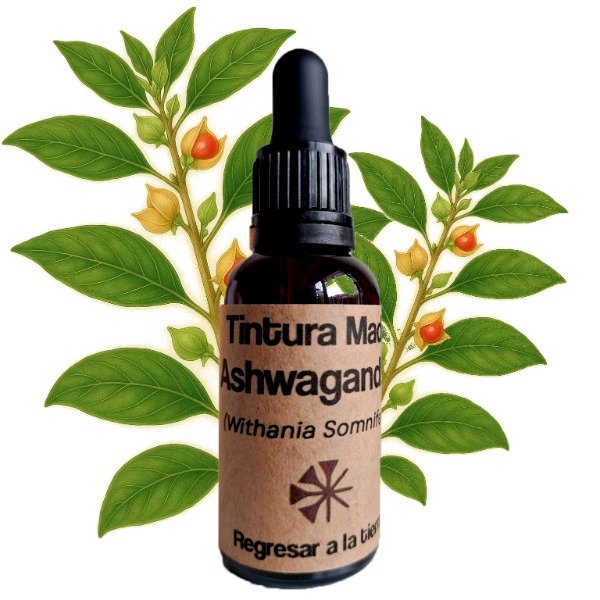 Producto - Tintura Madre de Ashwagandha 30ml