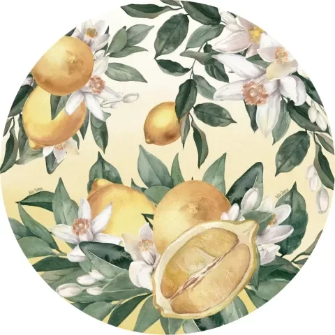 Producto - PACK PLATO DE SITIO "LIMONES" X 10
