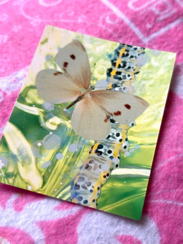 Producto - Sticker METAMORPHOSIS