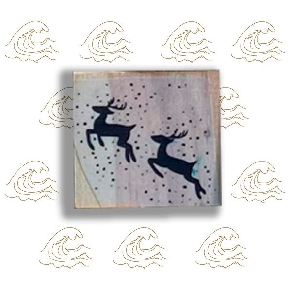 Producto - 4x4 Dos Renos