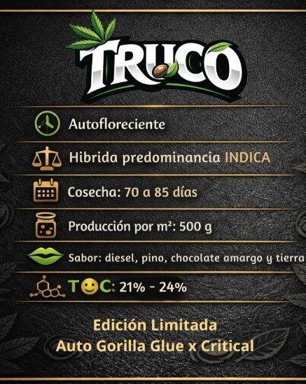 Producto - Truco 3 + 1 Auto - Elefante Blanco Seeds