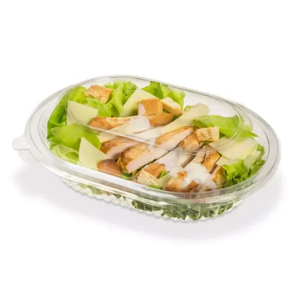 Producto - Estuche plastico para alimentos 105