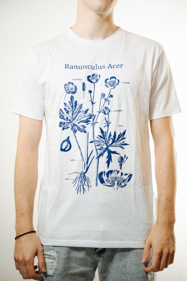 Producto - Ranunculus acer - Basic