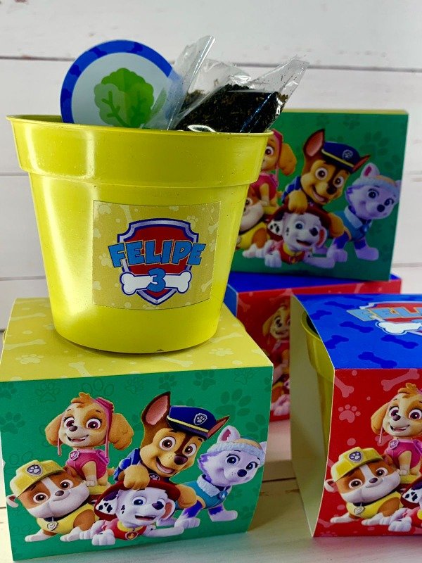 Producto - Mini Kit Huerta