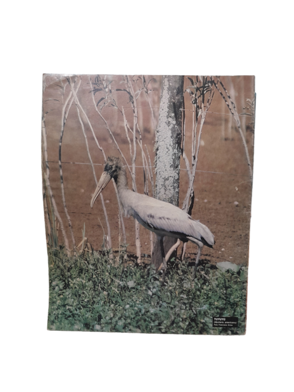 Miniatura de producto - 7