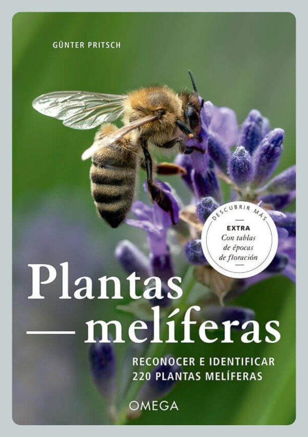 Producto - Pritsch: Plantas Melíferas
