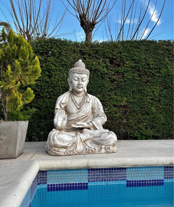 Producto - Buda Súper Gigante Nro 1