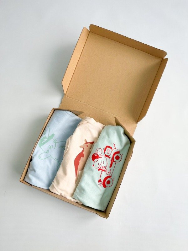 Producto - BOX 9 A 12 MESES OPCIÓN 2